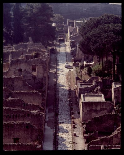 View of cardo V by Roman Roman