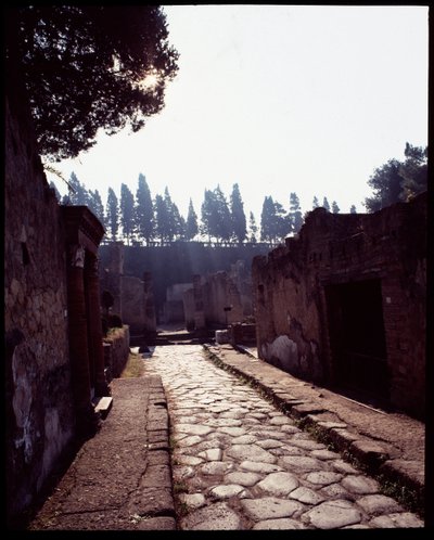 View of Cardo V, 5th Century BC-1st Century AD by Roman Roman