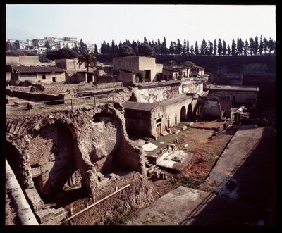 View of Southern Area by Roman Roman