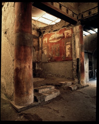 View of the College of the Augustales by Roman Roman