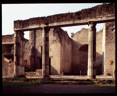 View of the Palestra by Roman Roman