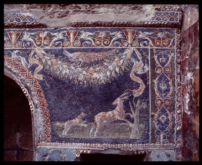 Wall mosaics of the nymphaeum of the casa di Nettuno e Anfitrite, Herculaneum by Roman Roman
