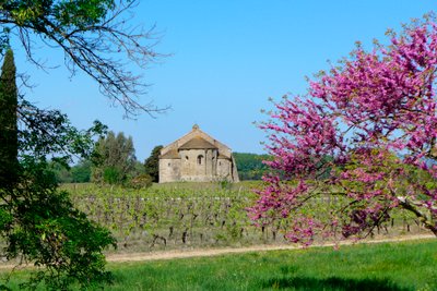 Romanesque Chapel Saint-Etienne de Vaissiere in Azille (photograph) by Romanesque