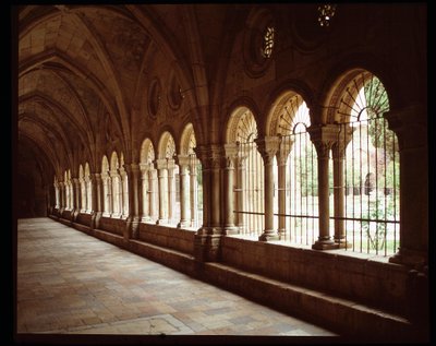 View of the cloister of the Cathedrale Sainte Thecle in Tarragona by Romanesque