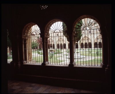 View of the cloister of the Cathedrale Sainte Thecle in Tarragona by Romanesque