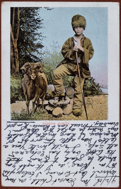 Postcard depicting a Romanian shepherd boy, c.1906 by Romanian School