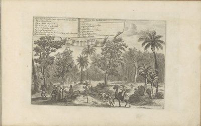 Trees and Spices by Romeyn de Hooghe