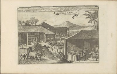 Brazilian Sugar Workers (title on object: Brazilian Sugar Works / Sugar Mills of Brazil) (series title: The East and West Indies and Other Places) by Romeyn de Hooghe