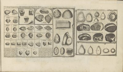 Diamonds, Rubies, and Pearls by Romeyn de Hooghe