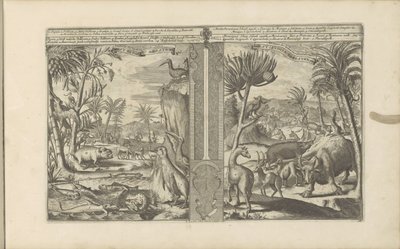 Animals from the West Indies by Romeyn de Hooghe