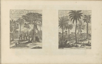 Landscapes with Mango Trees, Coconut Trees, and Palm Trees by Romeyn de Hooghe