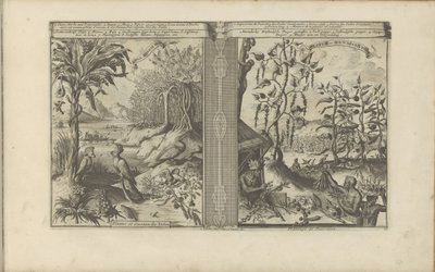 Plants, birds, and pepper fields (The East and West Indies and other places) by Romeyn de Hooghe