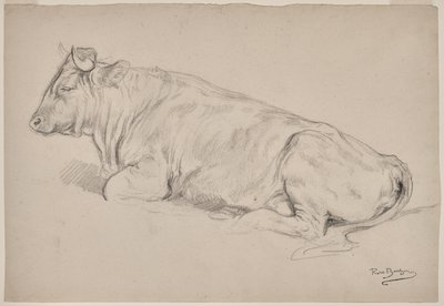 Bull Resting by Rosa Bonheur