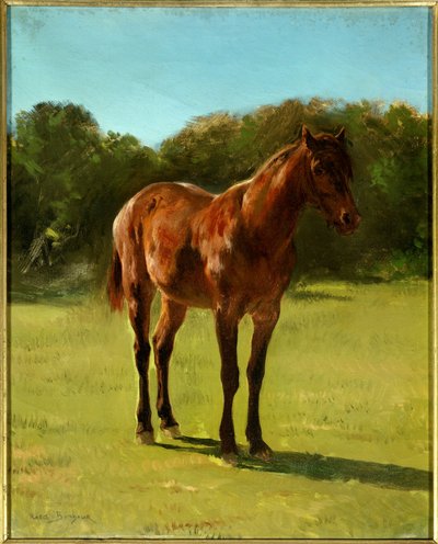Study of horse bay cherry by Rosa Bonheur