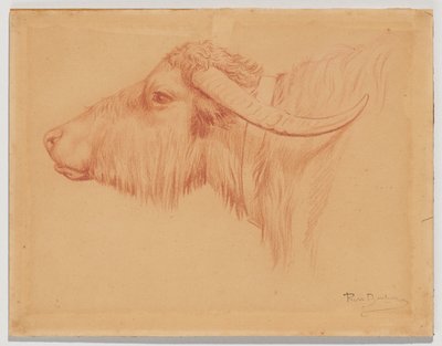 Water Buffalo by Rosa Bonheur