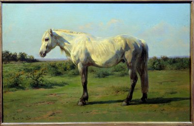White Horse in a Field by Rosa Bonheur
