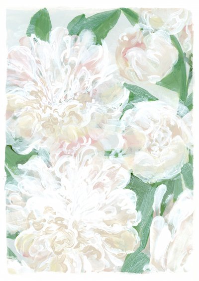 Soft White Peonies by Rosana Laiz Blursbyai