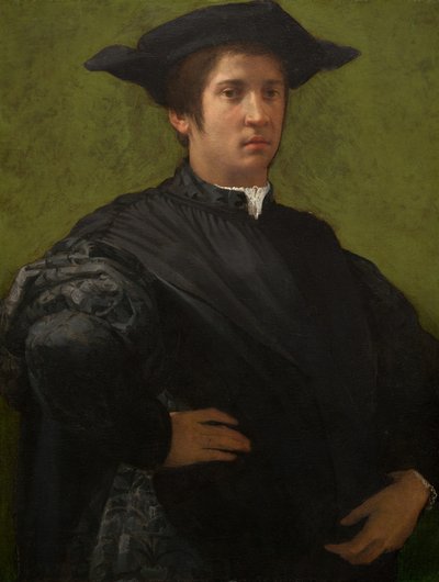 Portrait of a Man by Rosso Fiorentino