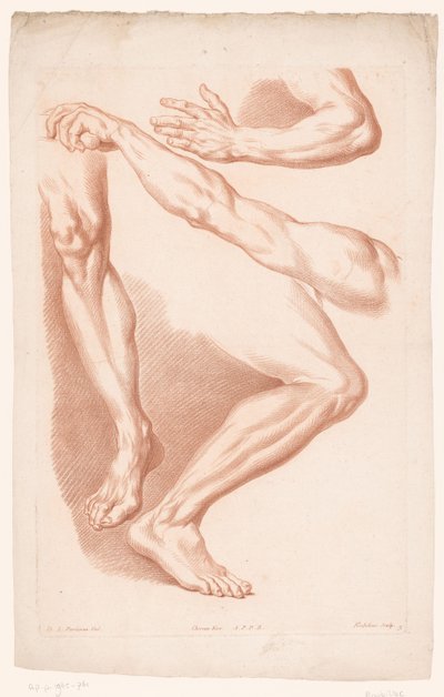 Various Views of Two Legs and Two Arms, Principles of Drawing from Nature, Part Seven by Louis François Roubillac