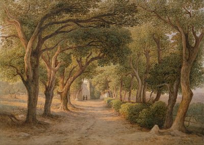 Castel Gandolfo by Rudolf Müller