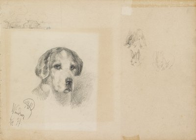 Portrait of a dog: Windsor by Rudolf Wimmer