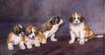 Puppies in Council by Rupert Arthur Dent