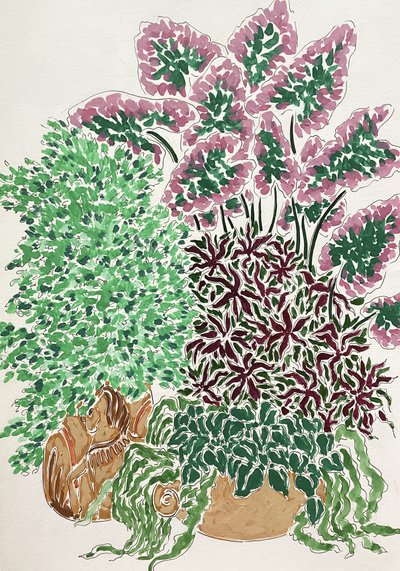 Vibrant Potted Plants by Rushati Chowdhury