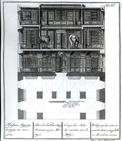 A Section view of the Hall of Rarities towards the South, illustration in Chambers of the St. Petersburg Imperial Academy of Sciences Library and Gallery showing Plans, Facades and Profiles by Johann by Russian School