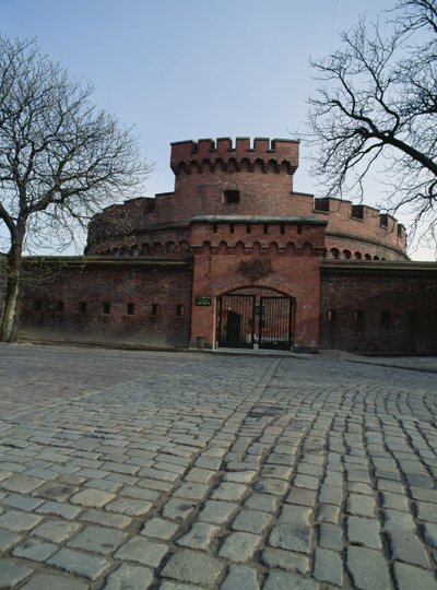 View of the Dohna Tower, Housing the Amber Museum by Russian School