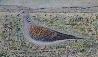 Turtle Dove by Ruth Addinall