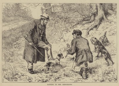 Ratting in the Hedgerows by S.T. Dadd