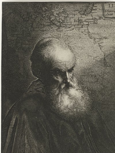 Portrait of an Old Man with a Beard by Salomon Savery
