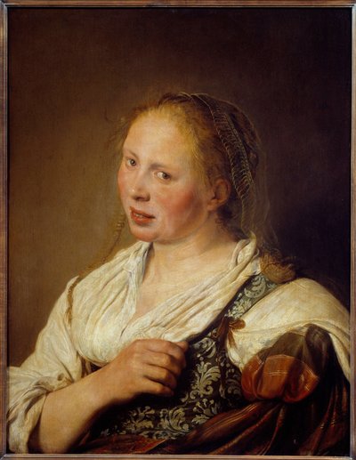 Portrait of a Young Flemish Peasant by Salomon de Bray