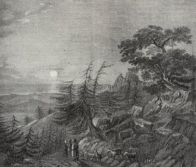 Landscape of Cedars forest on Mount Lebanon, near Beirut, Lebanon, lithograph by Salvatore Puglia from Poliorama Pittoresco, n 11, October 22 by Salvatore Puglia