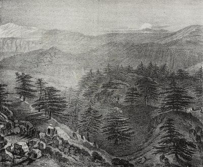 View of Mount Lebanon with its famous cedars, Lebanon by Salvatore Puglia