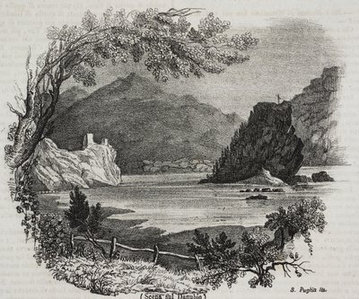 View on Danube river, lithograph by Salvatore Puglia from Poliorama Pittoresco by Salvatore Puglia