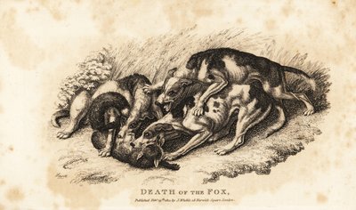 Death of the Fox by Samuel (after) Howitt