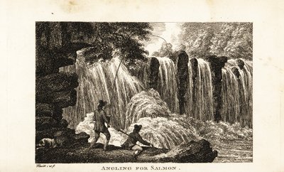 Fisherman fishing for salmon on the banks of a river near a waterfall by Samuel (after) Howitt