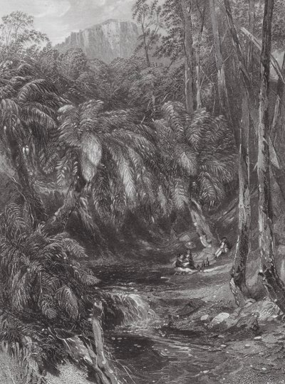 Australia: A Fern Tree Valley by Samuel (after) Prout