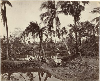 Village Scene in Bengal, India by Samuel Bourne (signed by artist)