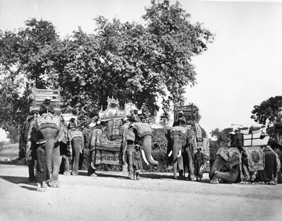 A Group of H E The Viceroy