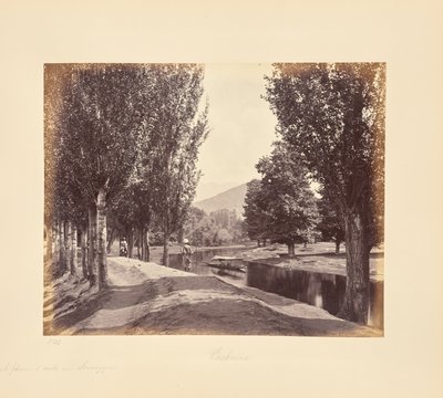 A Pleasant Walk near Srinagar by Samuel Bourne