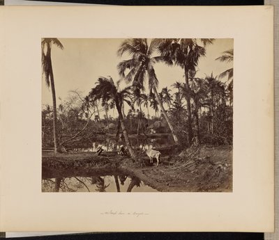 Calcutta; Rustic Scenes and Rural Life in Bengal by Samuel Bourne