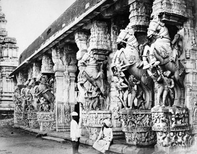 Carved Horse Pillars in Ranganatha Temple, Srirangam by Samuel Bourne