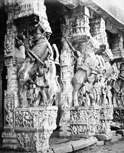 Carved Horse Pillars in Ranganatha Temple, Srirangam by Samuel Bourne