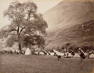 Mussucks for Crossing the Beas River Below Bajoura, 1866 by Samuel Bourne