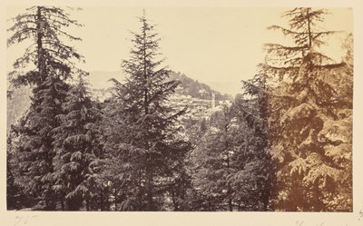 Simla; The Church through the Trees, from Jakko by Samuel Bourne
