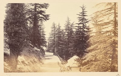 Simla; The Mall below the Club by Samuel Bourne