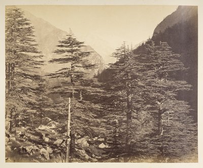 Snowy Peaks near Gangotri from Bhaironghati by Samuel Bourne