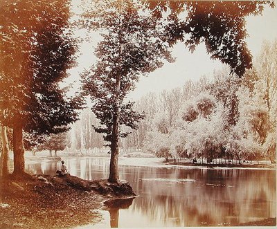 View on the Dhul Canal, Kashmir by Samuel Bourne
